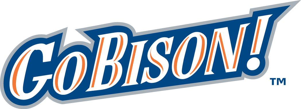 Bucknell Bison 2002-Pres Wordmark Logo t shirts DIY iron ons v3